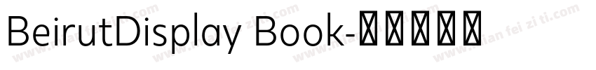BeirutDisplay Book字体转换